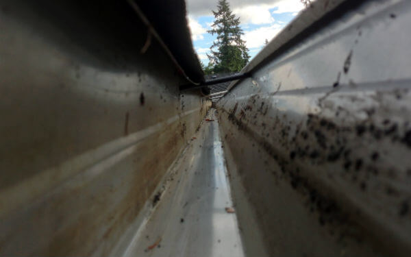 slider5 2